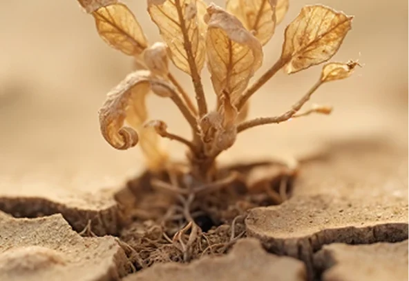 Como transformar la incomodidad